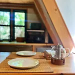 Masurian Int Satelitarny Starlink Predkosc 368 *