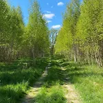 Lodge Masurian Int Satelitarny Starlink Predkosc 368 Urowo