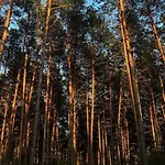 Lodge Masurian Int Satelitarny Starlink Predkosc 368