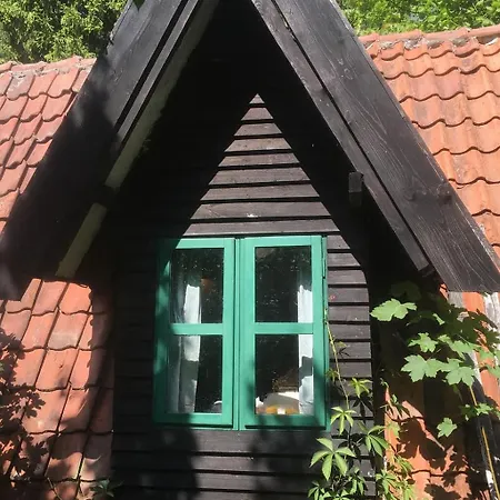 Masurian Int Satelitarny Starlink Predkosc 368 Urowo