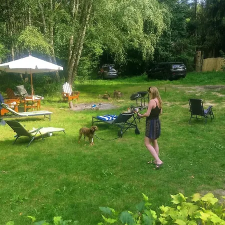 Masurian Int Satelitarny Starlink Predkosc 368