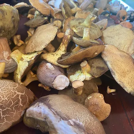 Chata Masurian District Office Praca Zdalna Remote Work Internet Satelitarny Starlink Speed 155mbs Download, Trzy Oddzielne Stoly Do Pracy W Trzech Pomieszczeniach *