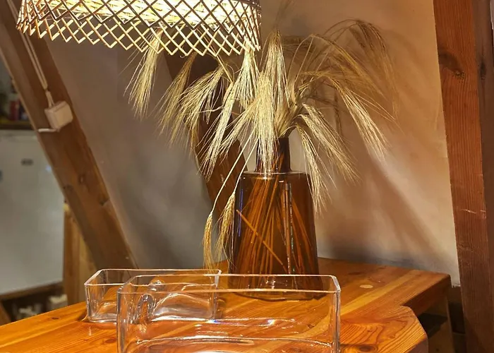 Alojamento de Turismo Selvagem Masurian Int Satelitarny Starlink Predkosc 368 Urowo