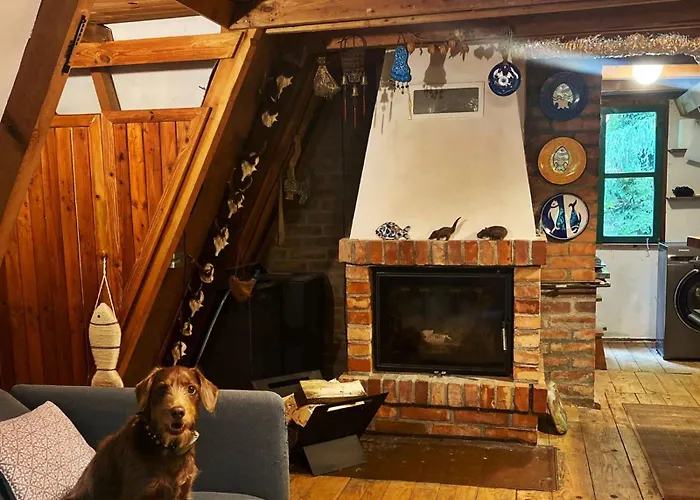 Masurian Int Satelitarny Starlink Predkosc 368 * Urowo