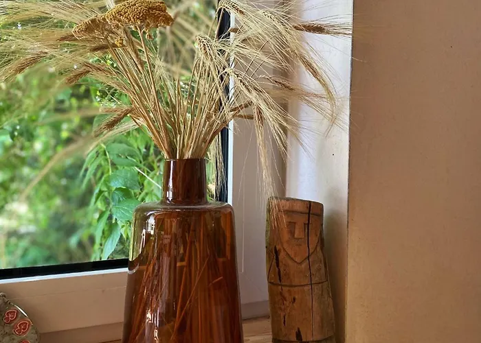 Alojamento de Turismo Selvagem Masurian Int Satelitarny Starlink Predkosc 368 *