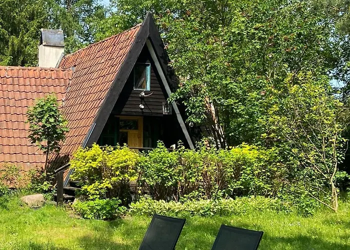 Masurian Int Satelitarny Starlink Predkosc 368 Urowo