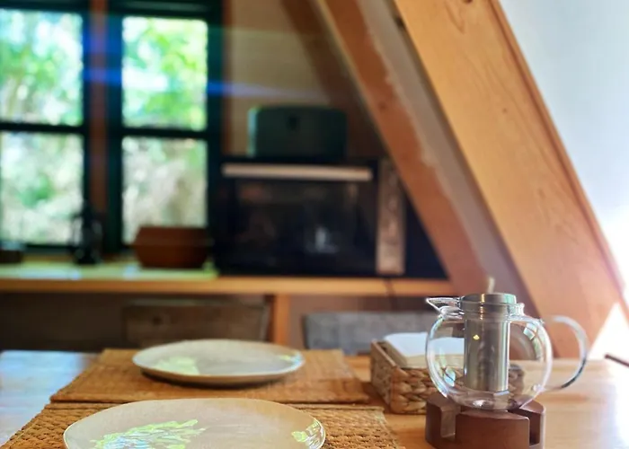 Masurian Int Satelitarny Starlink Predkosc 368 *