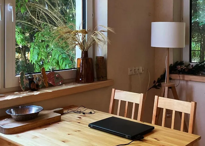 Masurian Int Satelitarny Starlink Predkosc 368 * Urowo