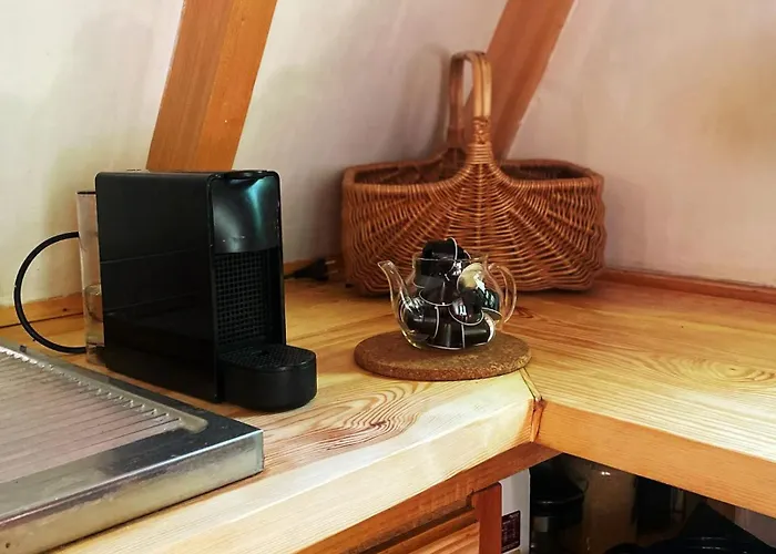 Masurian Int Satelitarny Starlink Predkosc 368 Urowo