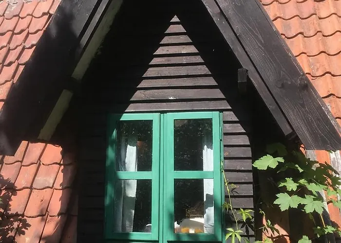 Masurian Int Satelitarny Starlink Predkosc 368 Urowo