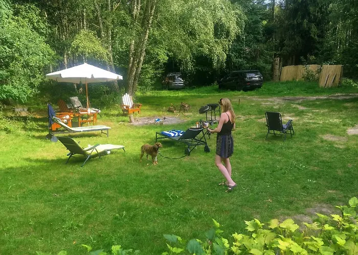 Masurian Int Satelitarny Starlink Predkosc 368