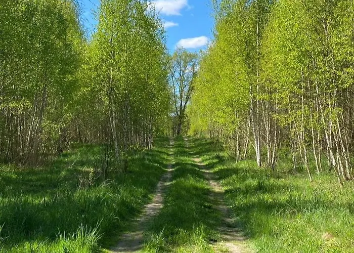 Alojamento de Turismo Selvagem Masurian Int Satelitarny Starlink Predkosc 368 Urowo