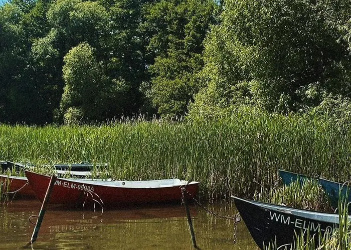 Masurian Int Satelitarny Starlink Predkosc 368