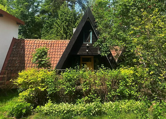 Masurian Int Satelitarny Starlink Predkosc 368 Alojamento de Turismo Selvagem *